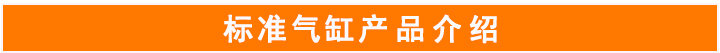 帶閥標準氣缸