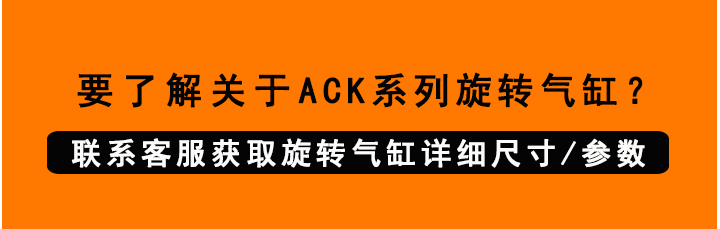 轉(zhuǎn)角旋轉(zhuǎn)氣缸